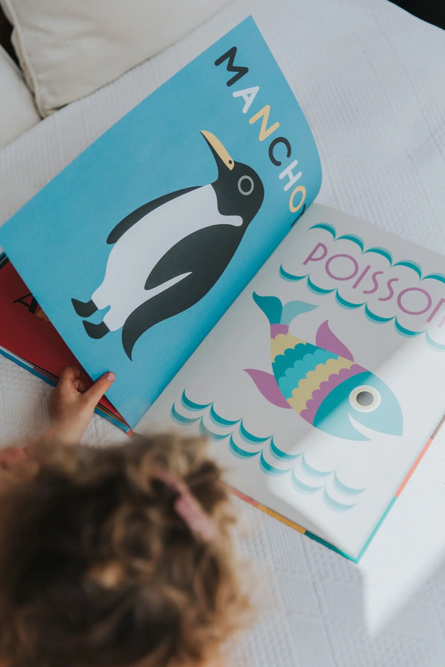 Animaux autour du monde