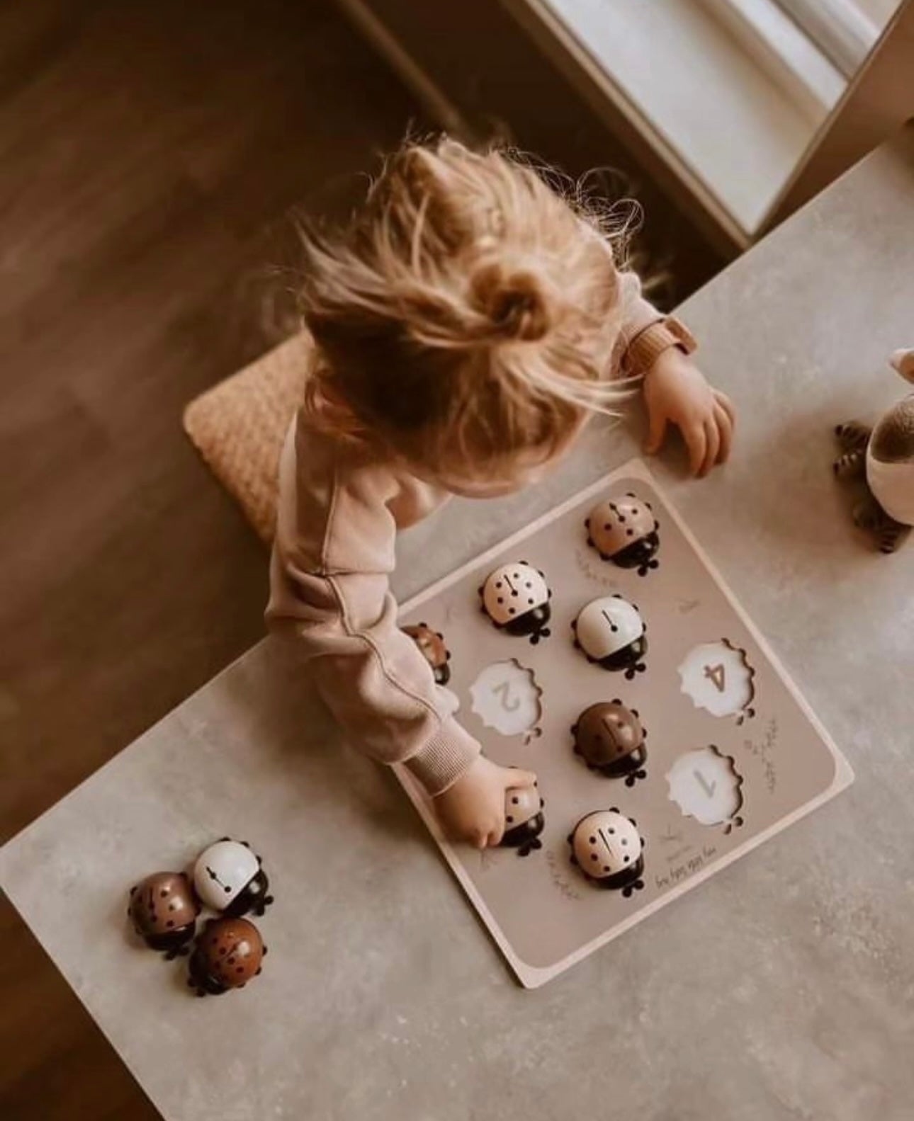 Puzzle coccinelles " My Ladies "