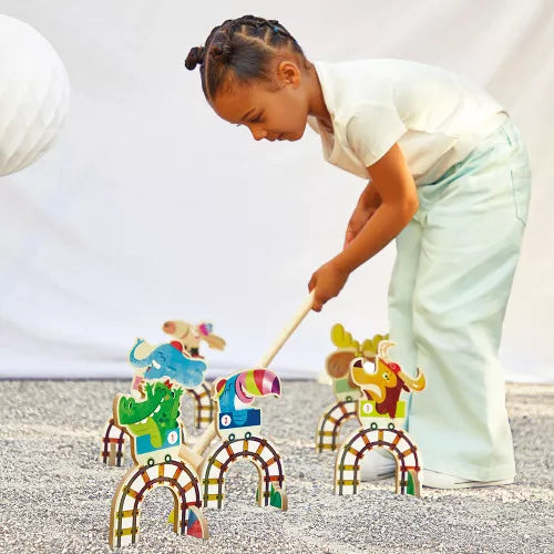 Croquet Grand Huit Applepop